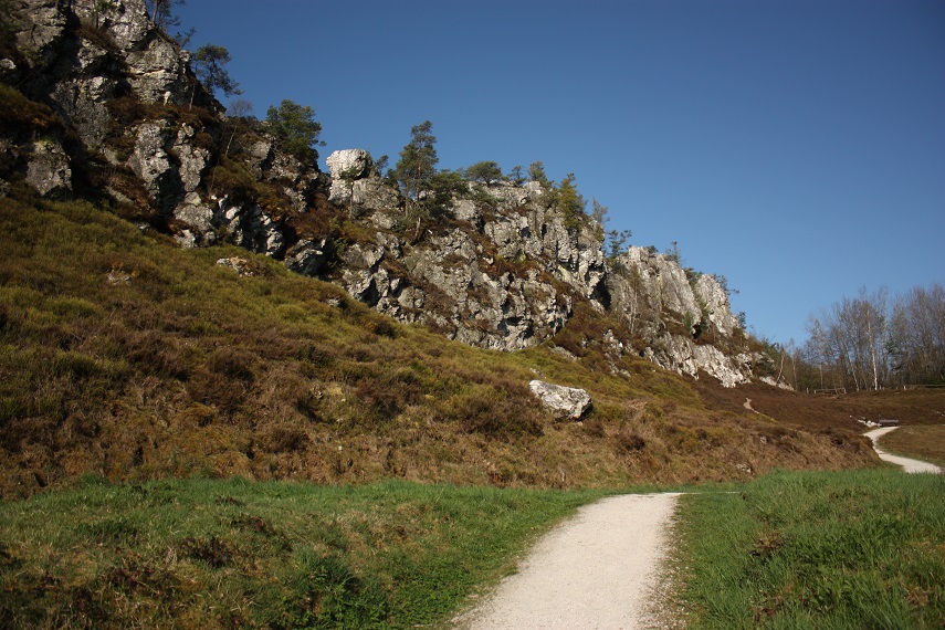 Rundgang durch das Naturschutzgebiet „Großer Pfahl“ Der Naturpark